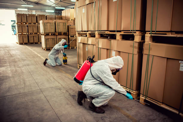 Best Exterminator Services  in Pea Ridge, FL