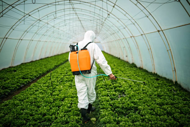 Best Ant Control Services  in Pea Ridge, FL