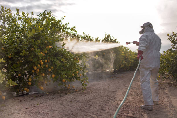 Pea Ridge, FL Pest Control Company