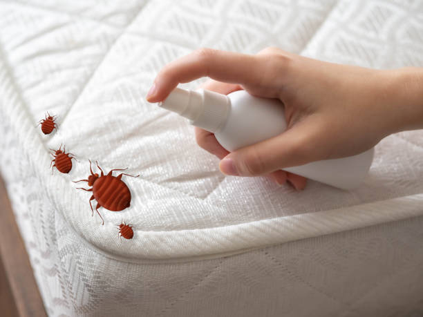 Best Bed Bug Extermination  in Pea Ridge, FL